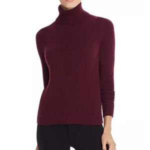 Aqua Cashmere Turtleneck